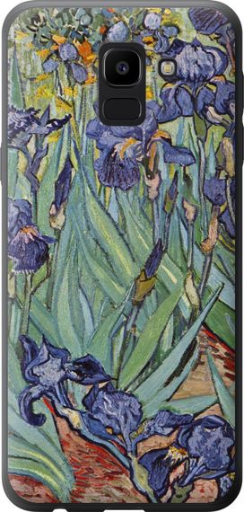 Чехол на Samsung Galaxy J6 2018 Винсент Ван Гог. Ирисы "161u-1486-17620"
