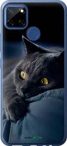 Чохол на Realme 7i Димчастий кіт "825t-2486-2448"
