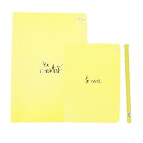 Набор Блокнотов 4Profi  "Title note" yellow 64 листа  формат А5, В6 + ручка