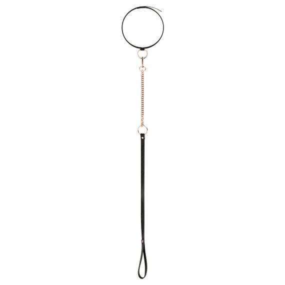 Нашийник із повідцем Rosy Gold — Collar with Leash — Black Sex Aura | Зображення 3