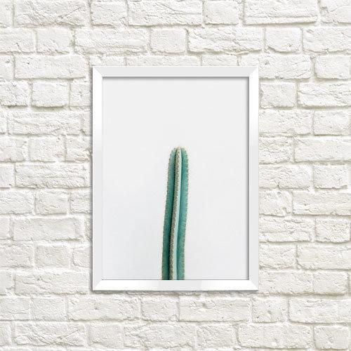 Постер в рамці Кактус 30x42 см, A3 (WMT3_ART051_WH)