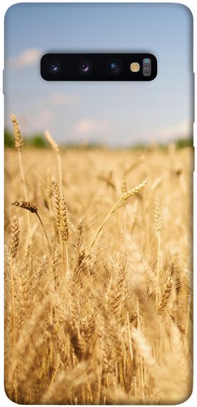Чохол IBANAN Поле пшениці для Samsung Galaxy S10+