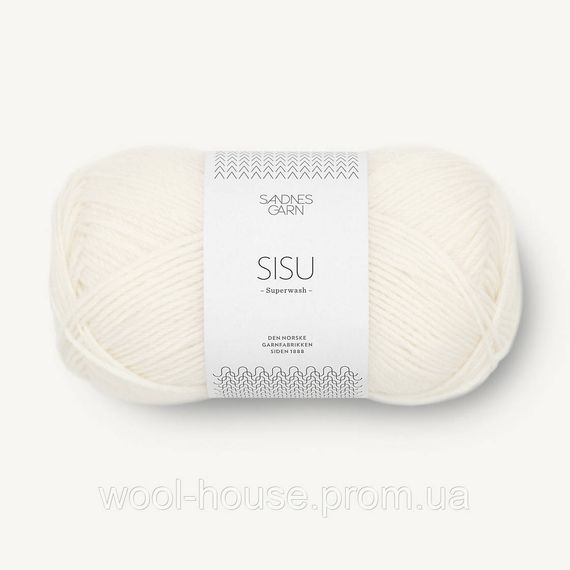 Шкарпеткова пряжа Sandnes Garn Sisu 50 г, 1002