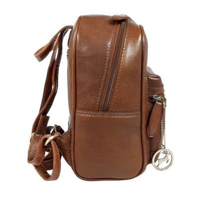 Рюкзак туристический Ashwood T87 Honey | Зображення 2