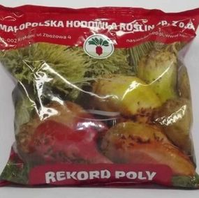 Кормовий буряк Рекорд Полі 0,5 кг  Malopolska Hodowla, Польща
