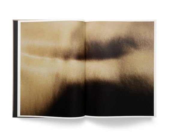 Книга Книга Девід Лінч - американський кінорежисер, фотограф, сценарист, художник, актор. David Lynch. Digital Nudes | Зображення 1