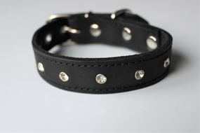 Кожаный ошейник со стразами "Lockdog" черный