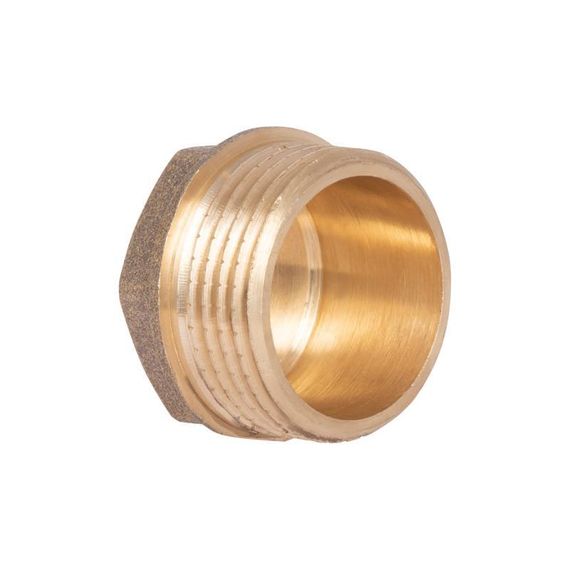 Заглушка Thermo Alliance Standart 1" НР SD40325 | Зображення 2