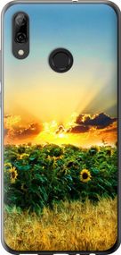 Чехол на Huawei P Smart 2019 Украина "1601u-1634-17620"