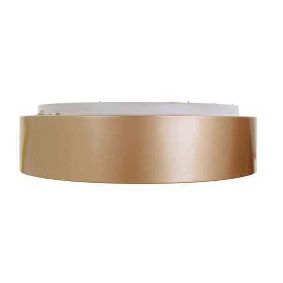 Светильник светодиодный настенно-потолочный накладной WBL-28C/30W*2 RG | Зображення 1