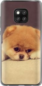 Чехол на Huawei Mate 20 Pro Boo 2 "890u-1567-17620"