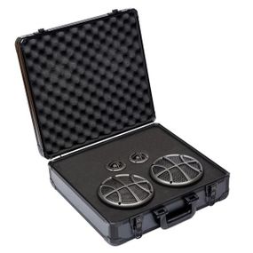 Автоакустика DLS SCANDCASE 2