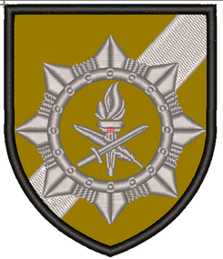 Шеврон ВСП (Піксель, Олива, Мультикам, Чорний або Койот)