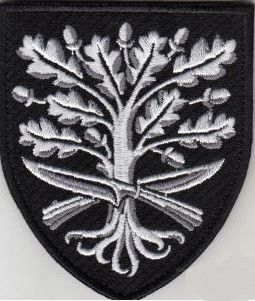 Шеврон 93 ОМБр Холодный Яр (черный)