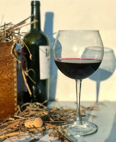 Набір келихів для вина Pasabahce Enoteca 655 мл 6 шт 44238 фужери для урочистостей та свят | Зображення 4