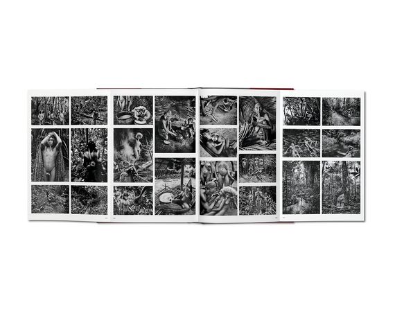 Подарункові книги для фотографів Sebastiao Salgado. Genesis альбоми відомих фотографів Себастьян Сальгадо | Зображення 6