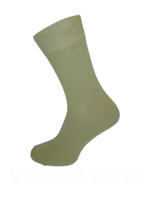 Шкарпетки чоловічі довгі кольорові демісезонні р.41-43 ТМ Twinsocks Светло-зеленый