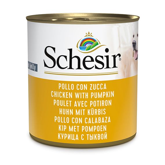 Schesir Dog Chicken With Pumpkin влажный корм с курицей для собак 285 гр