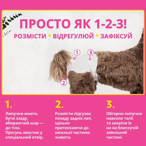 Одноразовые памперсы для собак-самок OUT! Comfort Dri Disposable Fashion Diapers, 46 - 63 см, 42 шт | Зображення 2