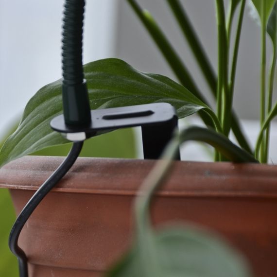 Фитосветильник для растений LED IP53 LED-36/3W Fito GROW | Зображення 5