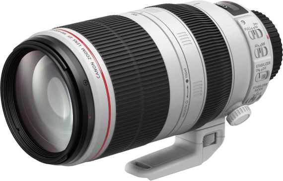 Объектив Canon EF 100-400mm f/4.5-5.6L IS II USM (9524B005) | Зображення 2