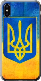 Чехол на iPhone X Герб Украины "2036u-1050-17620"
