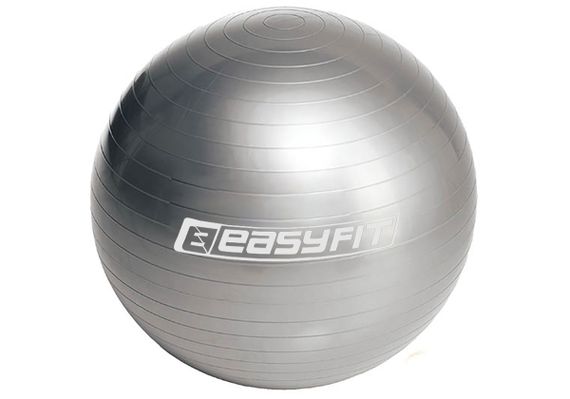 М'яч для фітнесу EasyFit 55 см сірий (EF-3006-GY)