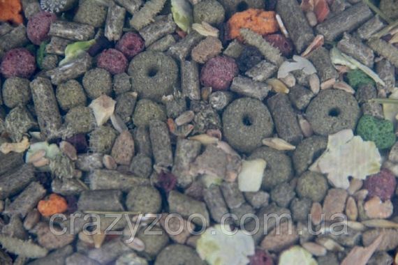 Корм для морских свинок Lolo Pets Foody 600 г LO-70134 | Зображення 2
