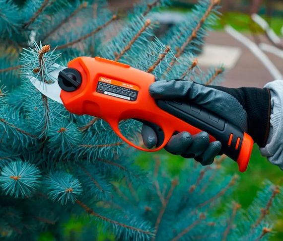 Ножиці садові-секатор акумуляторний Sequoia (SBP3610C) | Зображення 1