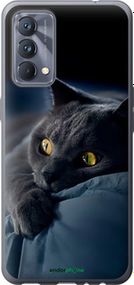 Чохол на Realme GT Master Димчастий кіт "825u-2852-2448"