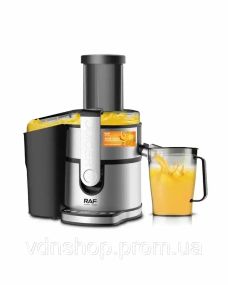 Соковыжималка из нержавеющей стали RAF 2700 для кухни соковыжималка для фруктов