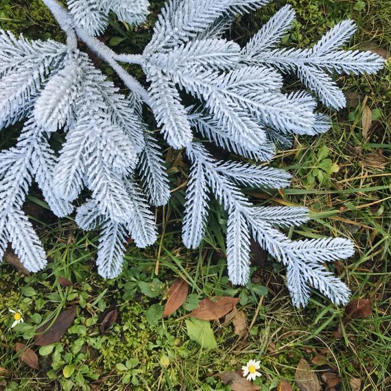 Декоративна гілка штучної хвої Traditional 60 см засніжена | Зображення 1