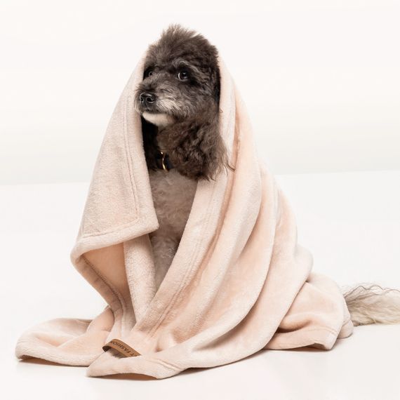 Плед Pet Fashion Bliss 1 для собак і котів плюш пудра 86х67,5 см | Зображення 5