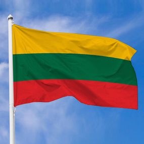 Флаг Литвы 100х50 см