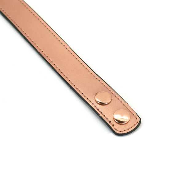Нашийник із затискачами для сосків Liebe Seele Rose Gold Memory Collar with Nipple Clamps, шкіра | Зображення 5