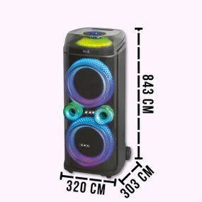 Портативная акустическая колонка ZXX-9900 с 2 микрофонами динамики 2х10 дюймов HT-71