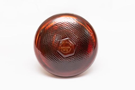 Лампа інфрачервона 200 Вт | Зображення 1