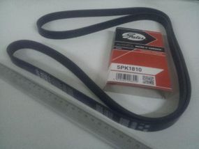 Ремінь генератора струмковий Hyundai/KIA CRDi, Gates (5PK1810) (25212-2A310)
