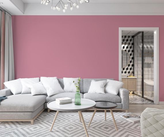 Краска Интерьерная Латексная Skyline 2030-R20B Кашемир 5л | Зображення 2