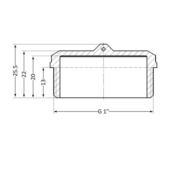 Заглушка Thermo Alliance Standart 1" НР SD40325 | Зображення 1