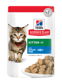 Hill's SP Kitten 85х12 шт Вологий корм для кошенят і кішок у період вагітності та лактації, з океанічною рибою