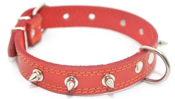 Ошейник для собак Zoo-hunt кожаный с шипами двойной ОДШ красный ОДШ 3,5/44-55 см