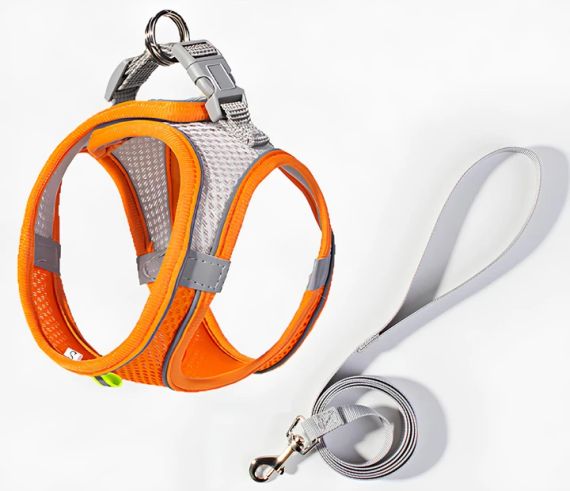 Шлейка анатомічна та повідець Kafuli Pet Collection для собак і кішок 3-6 кг, XS, Жовтогарячий із сірим