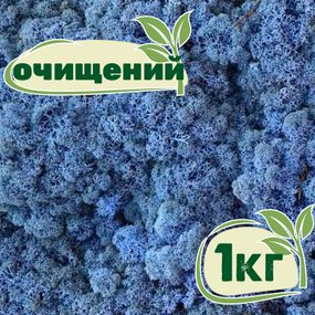 Очищенный стабилизированный мох ягель Nordic moss Лавандовый 1 кг