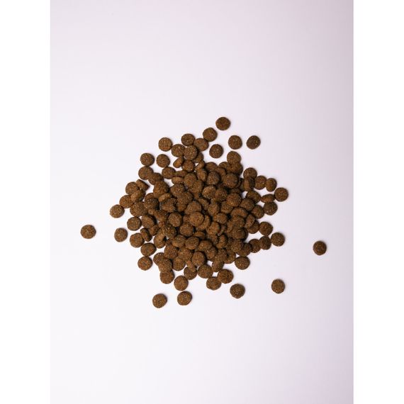 Корм сухий Savory Junior Large rich in Fresh Turkey and Chicken для молодих собак великих порід від 25 кг зі свіжою індичкою | Зображення 1