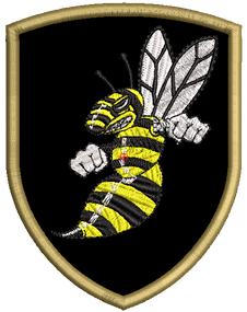 Шеврон Бойовий Шміль