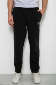 Спортивные штаны мужские на флисе, цвет черный, 238R01908