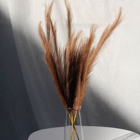 Пампас искусственный 75см 10шт/уп. Цвет: карамель ZE-97