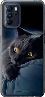 Чохол на Oppo Reno6 Z Димчастий кіт "825u-2477-2448"