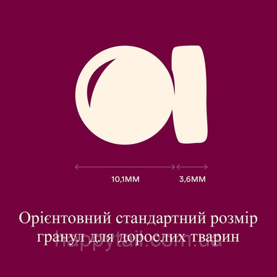 Беззерновой сухой корм Carnilove Active Salmon & Turkey для взрослых кошек лосось и индейка 2 кг (арт. 173713) | Зображення 3